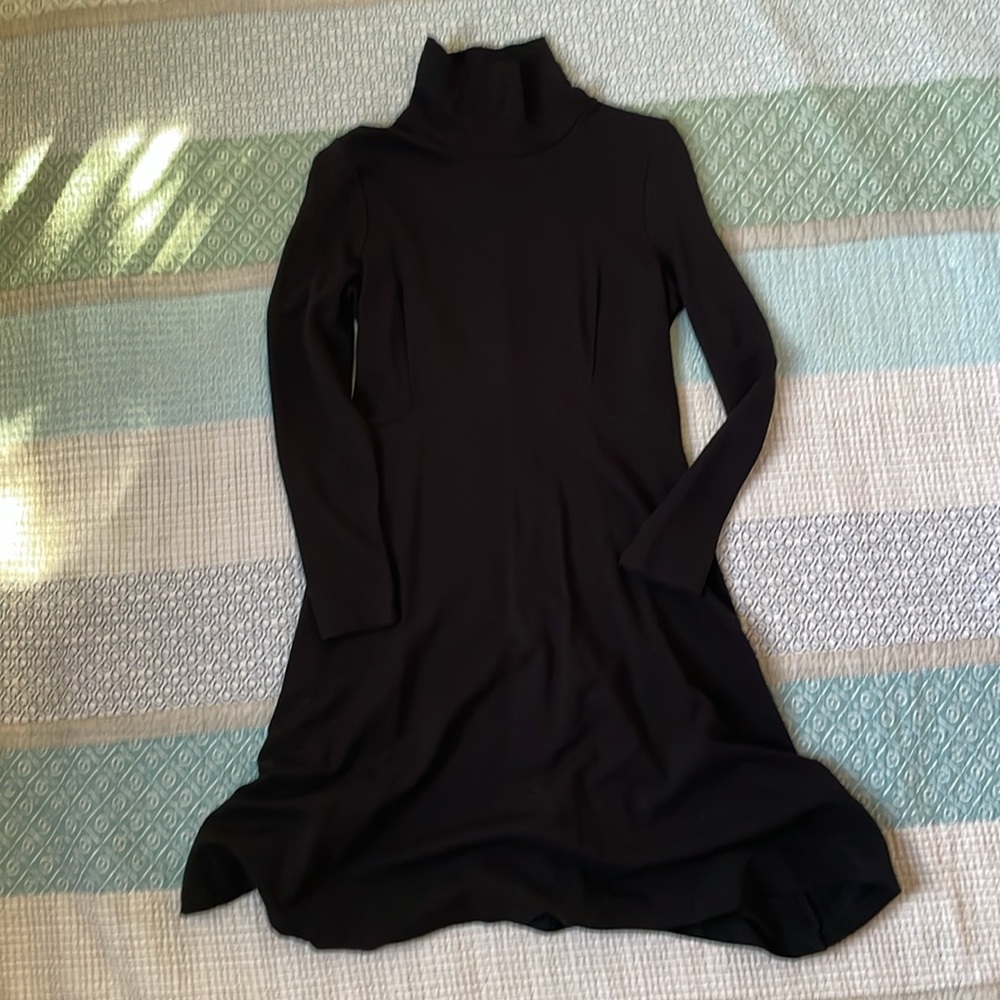 Seraphine pregnancy dress